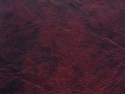 Kunstnahk W-13