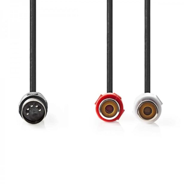 DIN – 2x RCA Audio kaabel