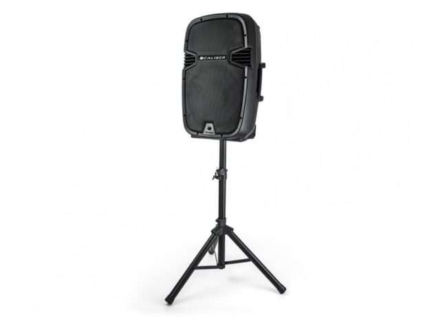 HPA605BT kaasaskantav kõlar