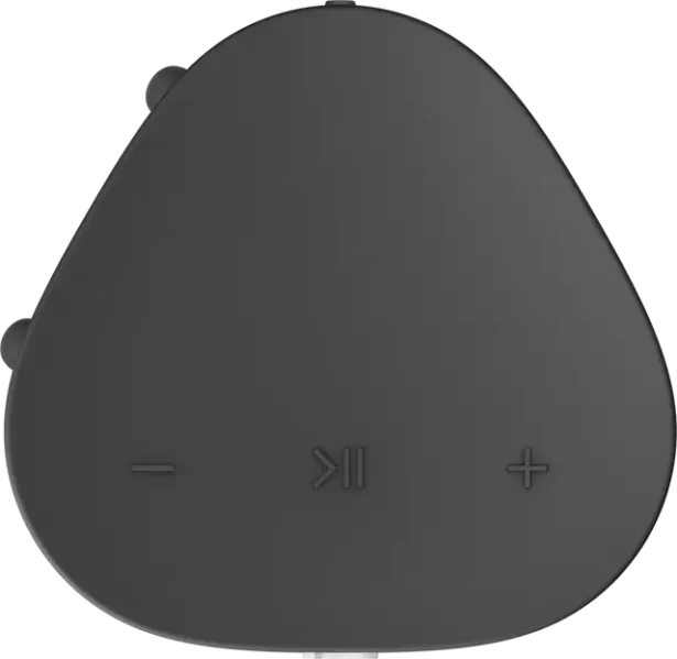 Roam SL nutikõlar