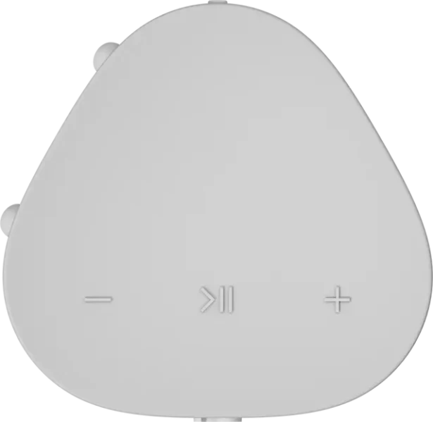 Roam SL nutikõlar