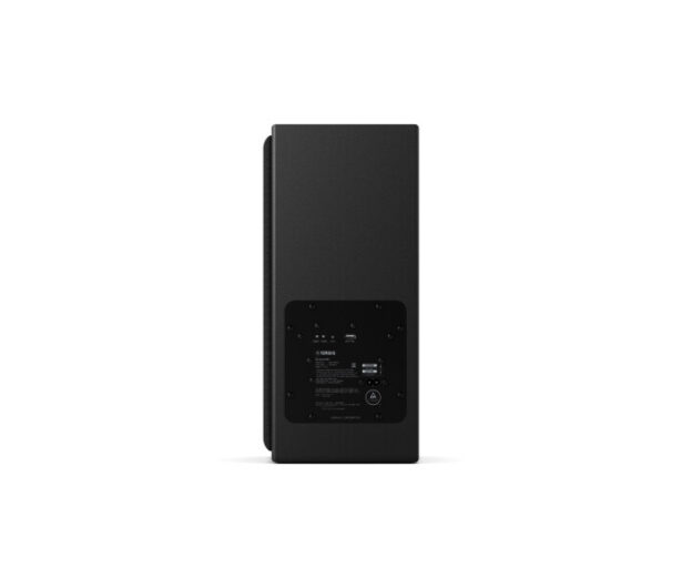 S-WX100A bassikõlar