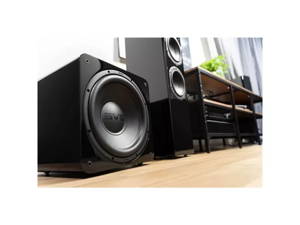 SB-1000 Pro bassikõlar