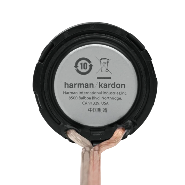 FLOW601CFS komponentkõlarid