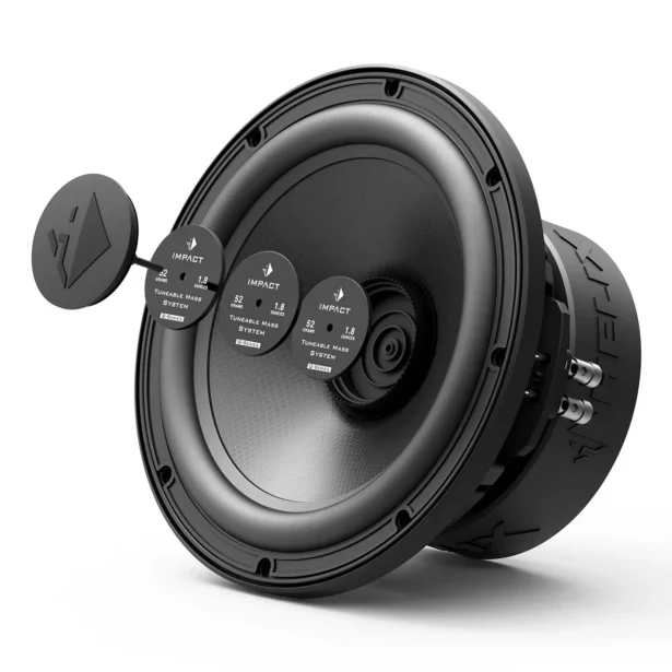 IQ W10-DVC2 bassikõlar
